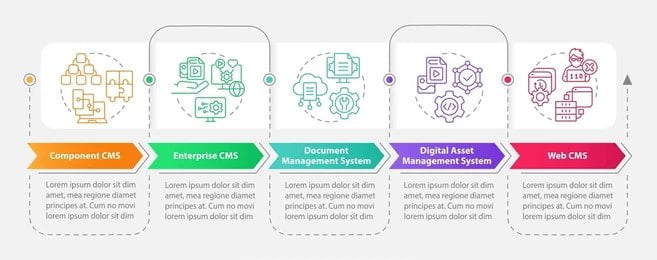 CMS Web Development