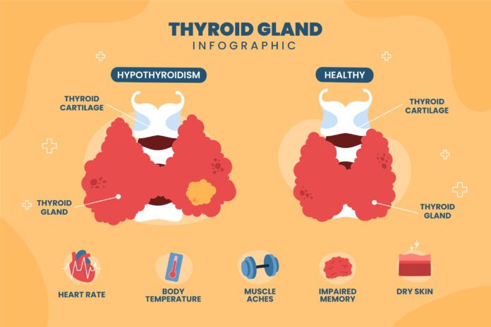 thyroid